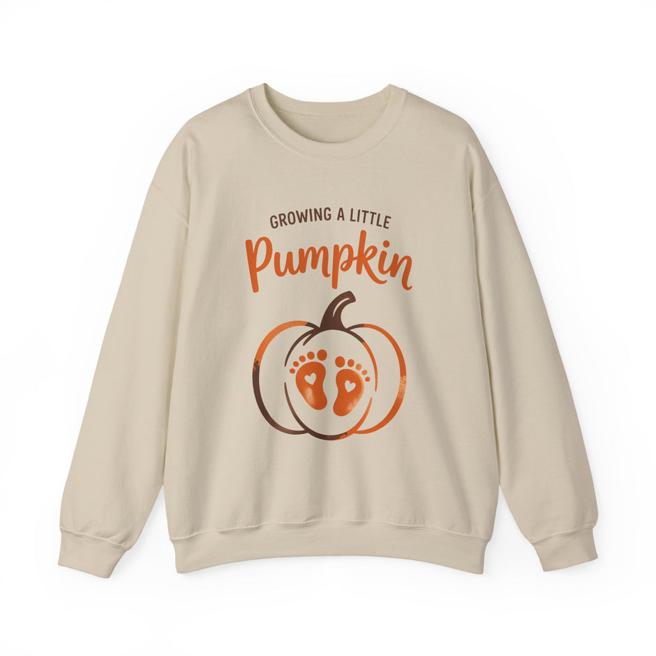 Pregnancy Sweatshirt - 