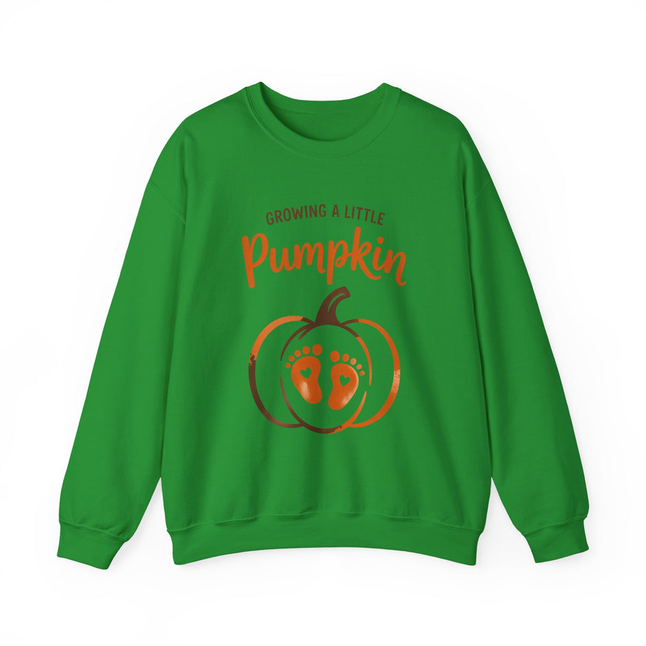 Pregnancy Sweatshirt - 