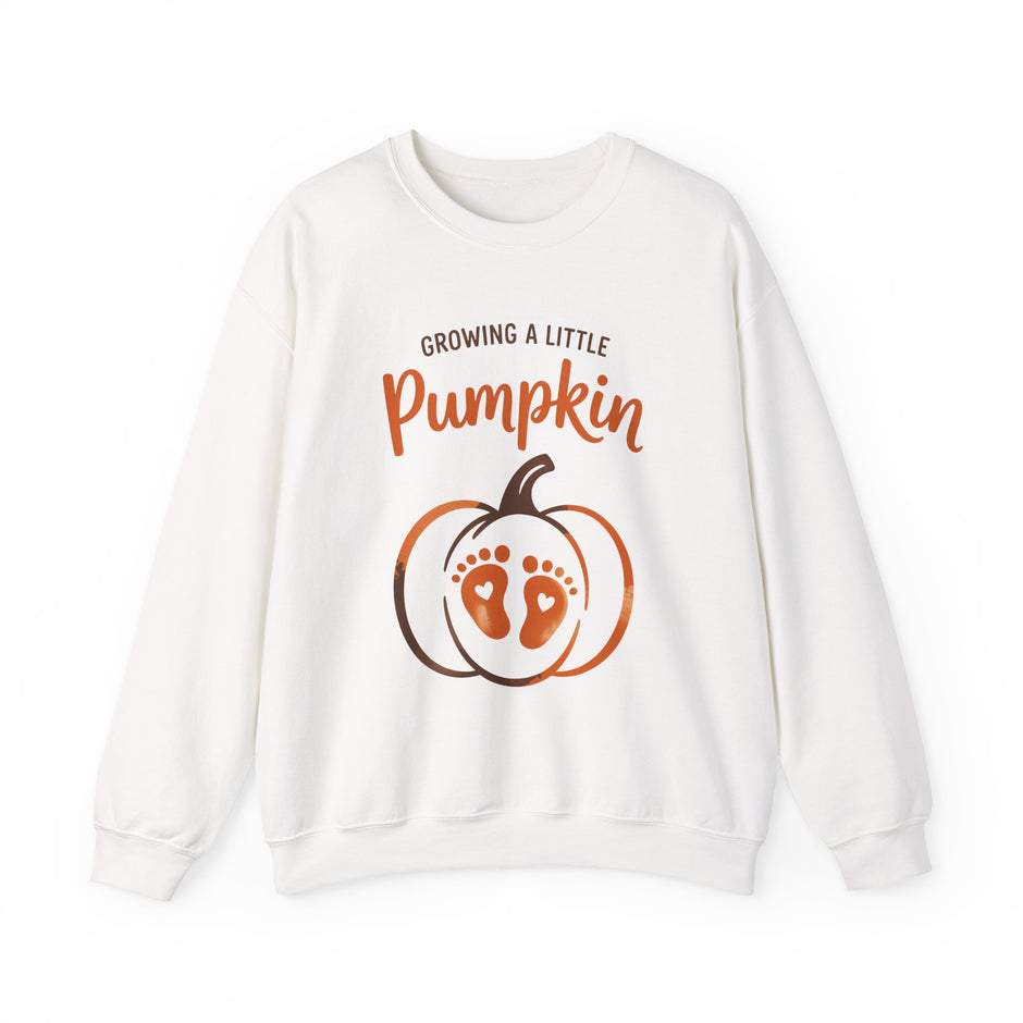 Pregnancy Sweatshirt - 
