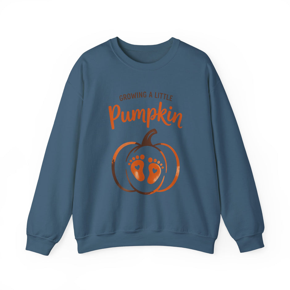 Pregnancy Sweatshirt - 