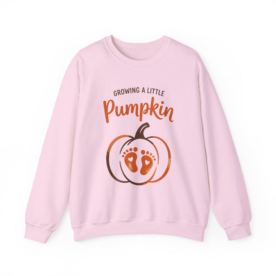 Pregnancy Sweatshirt - 