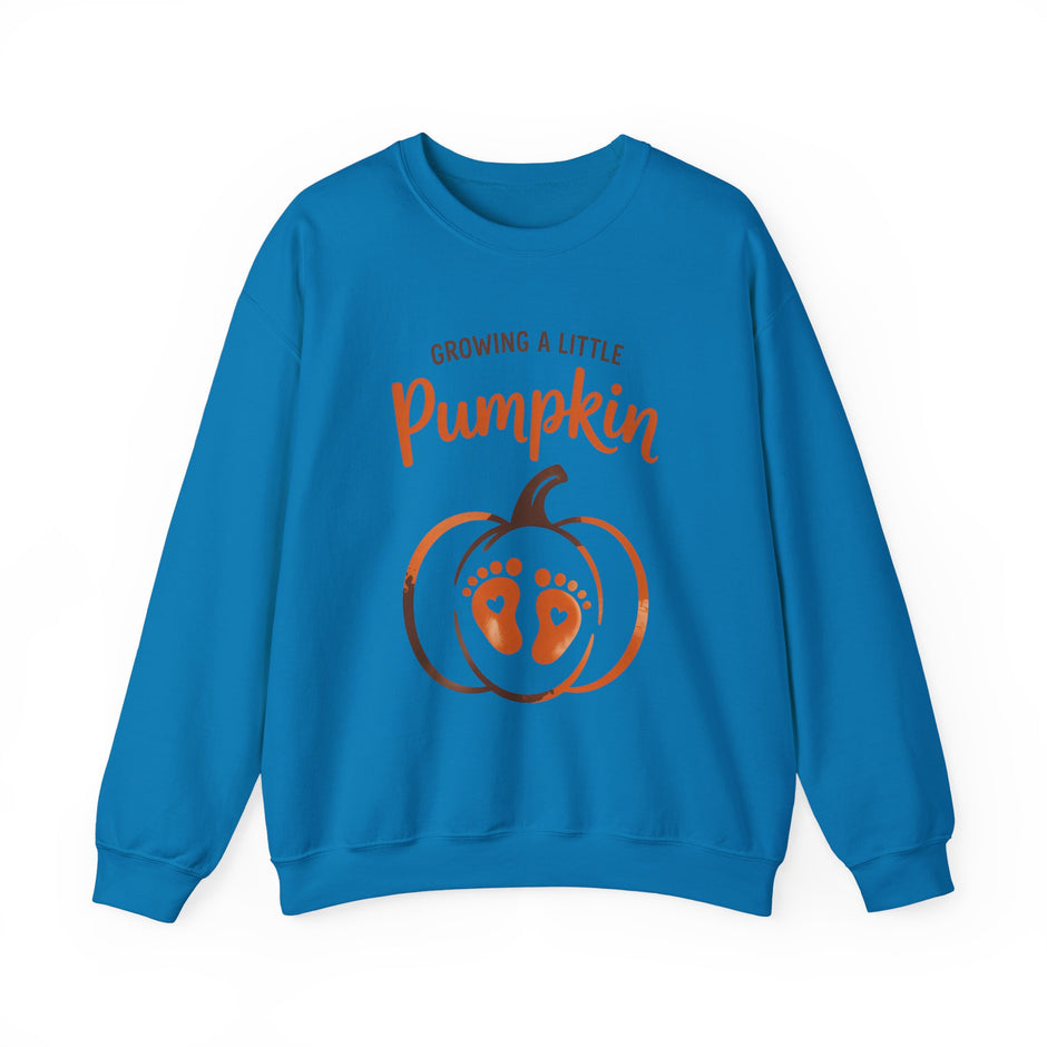 Pregnancy Sweatshirt - 