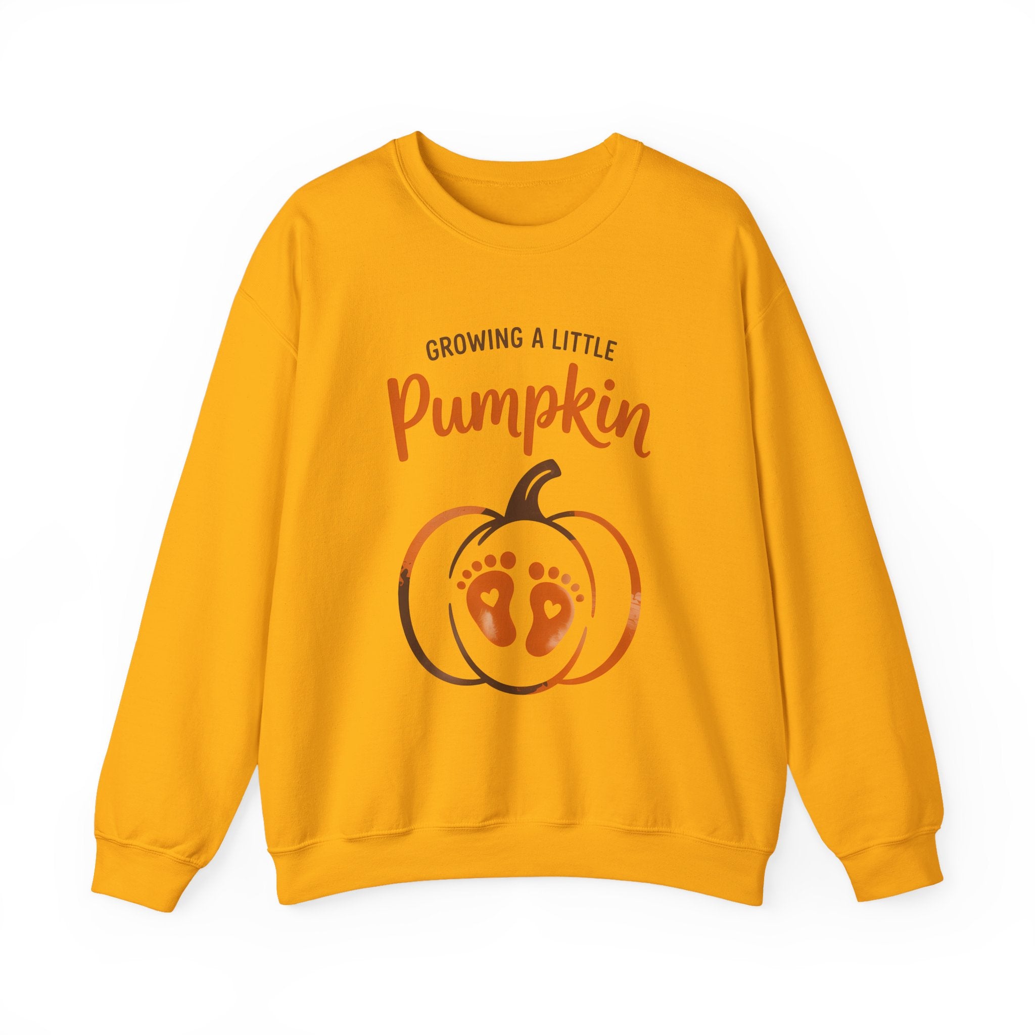 Pregnancy Sweatshirt - 