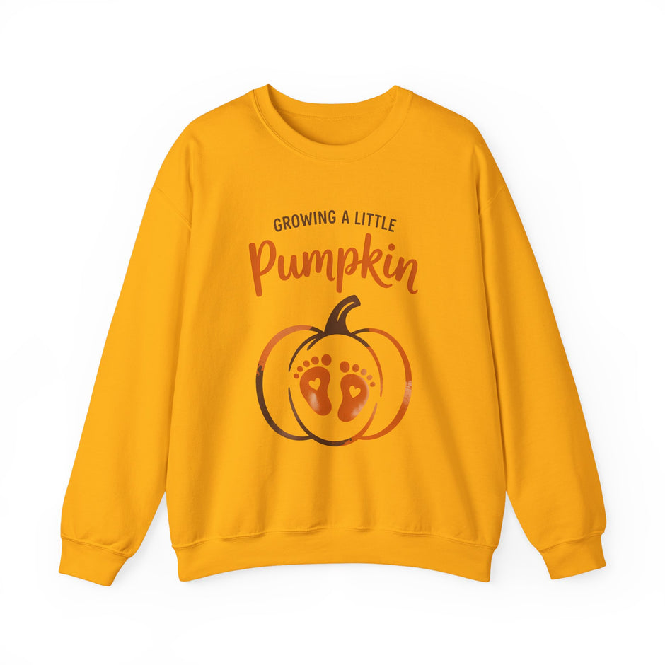 Pregnancy Sweatshirt - 