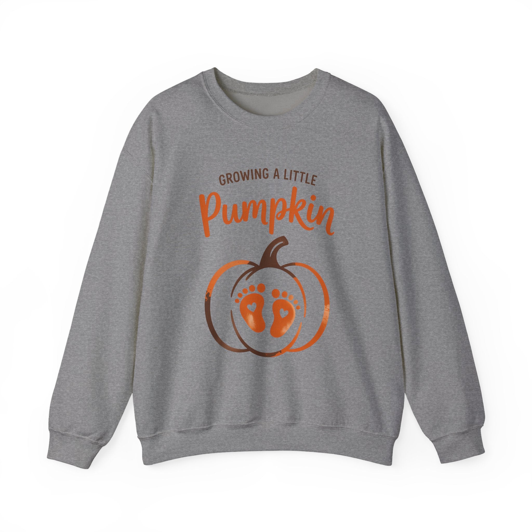 Pregnancy Sweatshirt - 