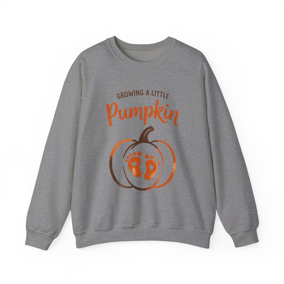 Pregnancy Sweatshirt - 