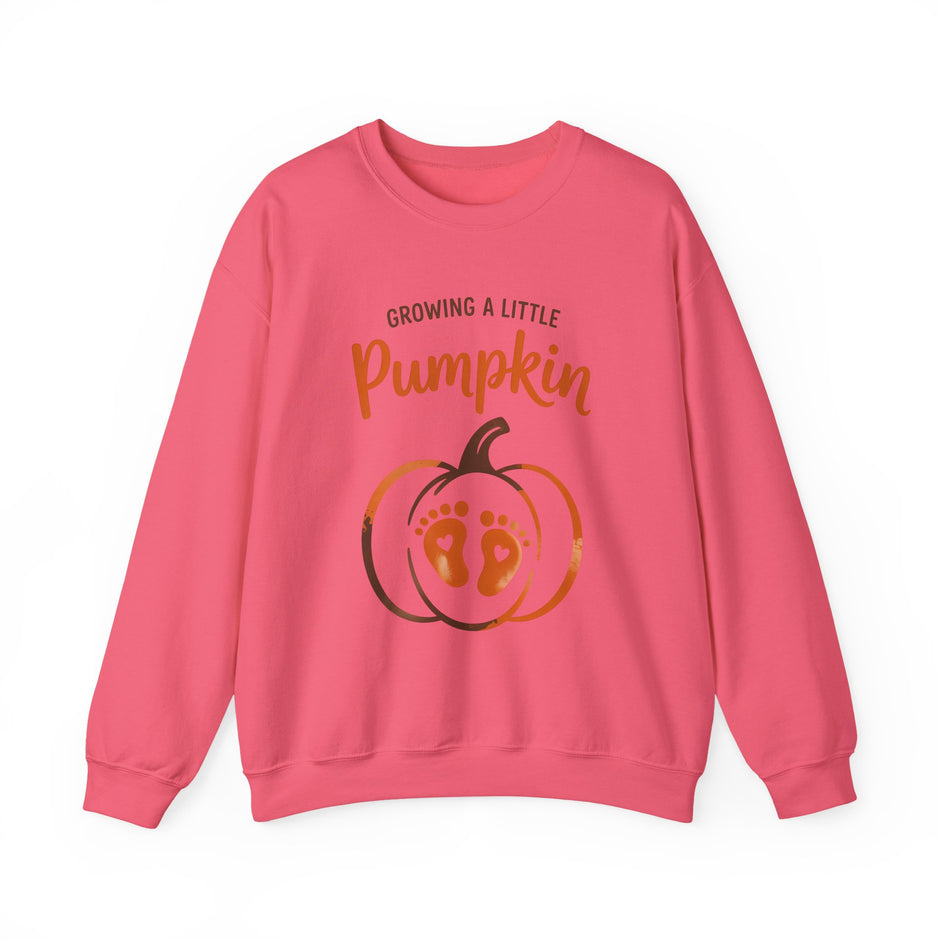 Pregnancy Sweatshirt - 