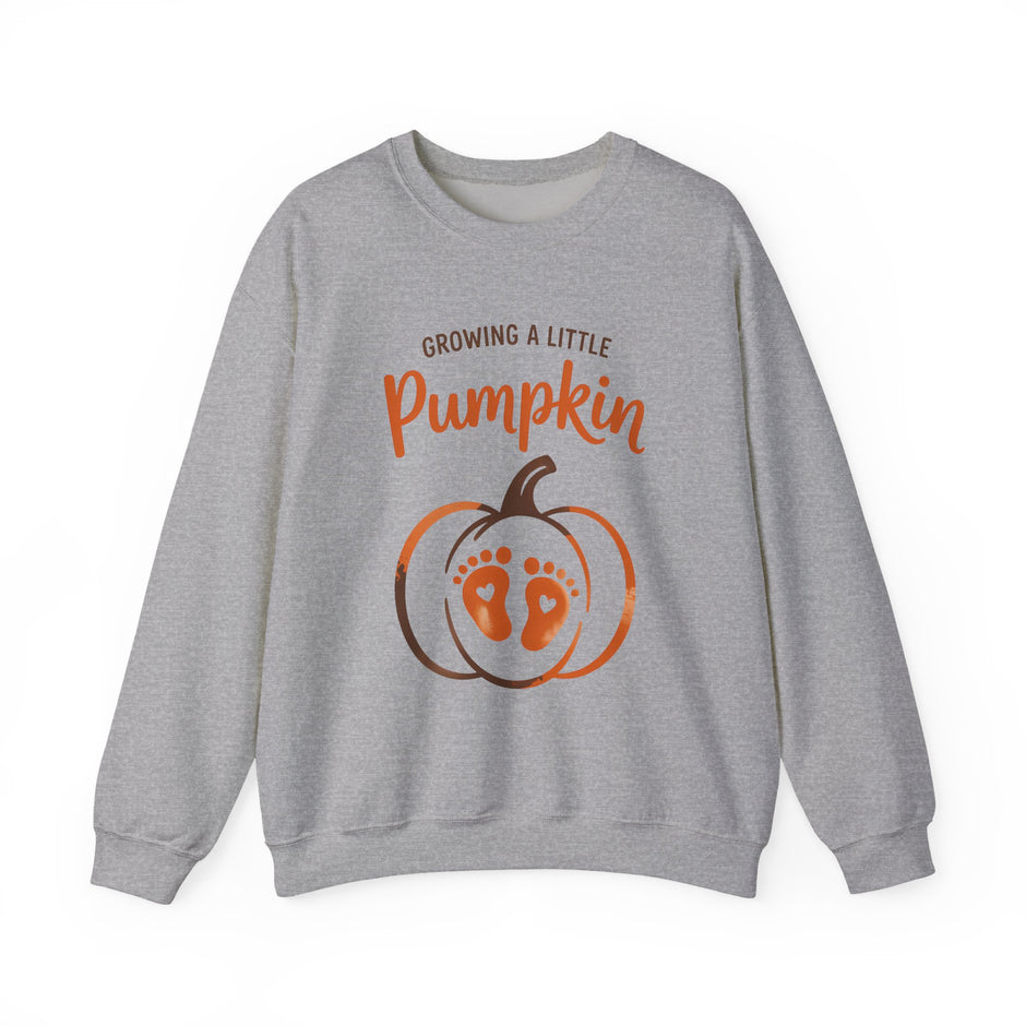 Pregnancy Sweatshirt - 