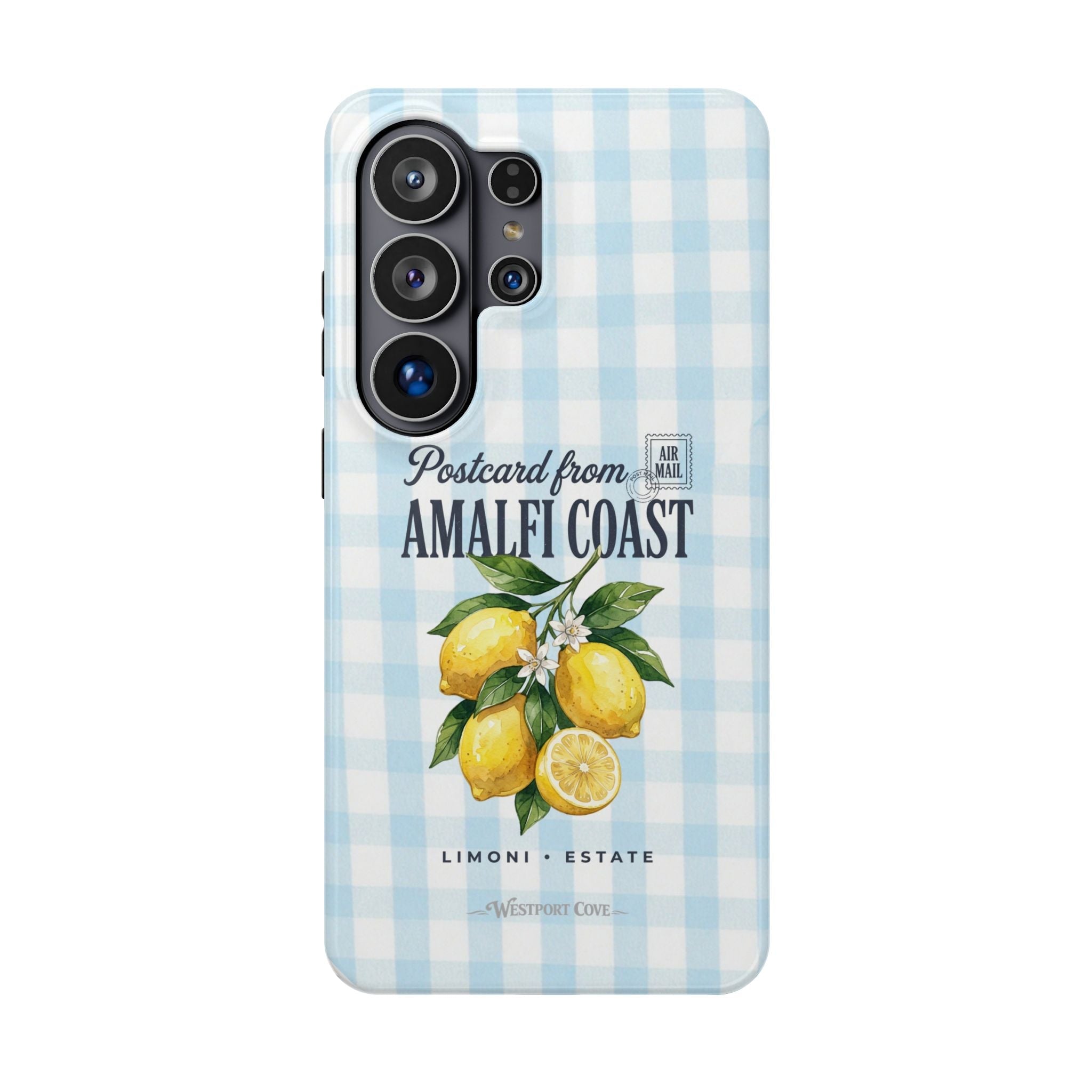 Amalfi Postcard - Extreme MagSafe Phone Case - Westport Cove