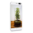 Sliding Webcam Privacy Cover – Laptop & Phone Camera Shutter - Westport Cove